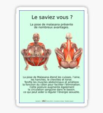 Planches Musculo-squelettique des positions de Yoga - N°34 Sticker