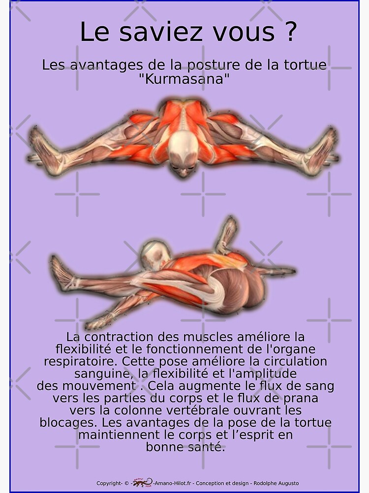 « Planches Musculo-squelettique des positions de Yoga - N°39 » par rodolphe-a