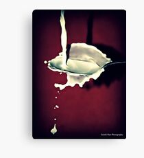 Sploosh!! Canvas Print