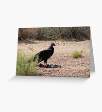"Dinner is served" Turkey Vulture Greeting Card
