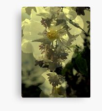His Glory Canvas Print
