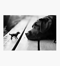 Mini Me Photographic Print
