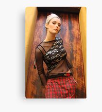 357a Canvas Print