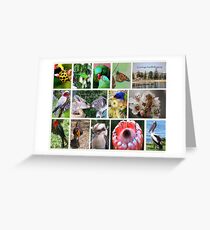 Aussie friends forever Postcard Greeting Card