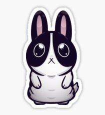 Curious Bunny Sticker