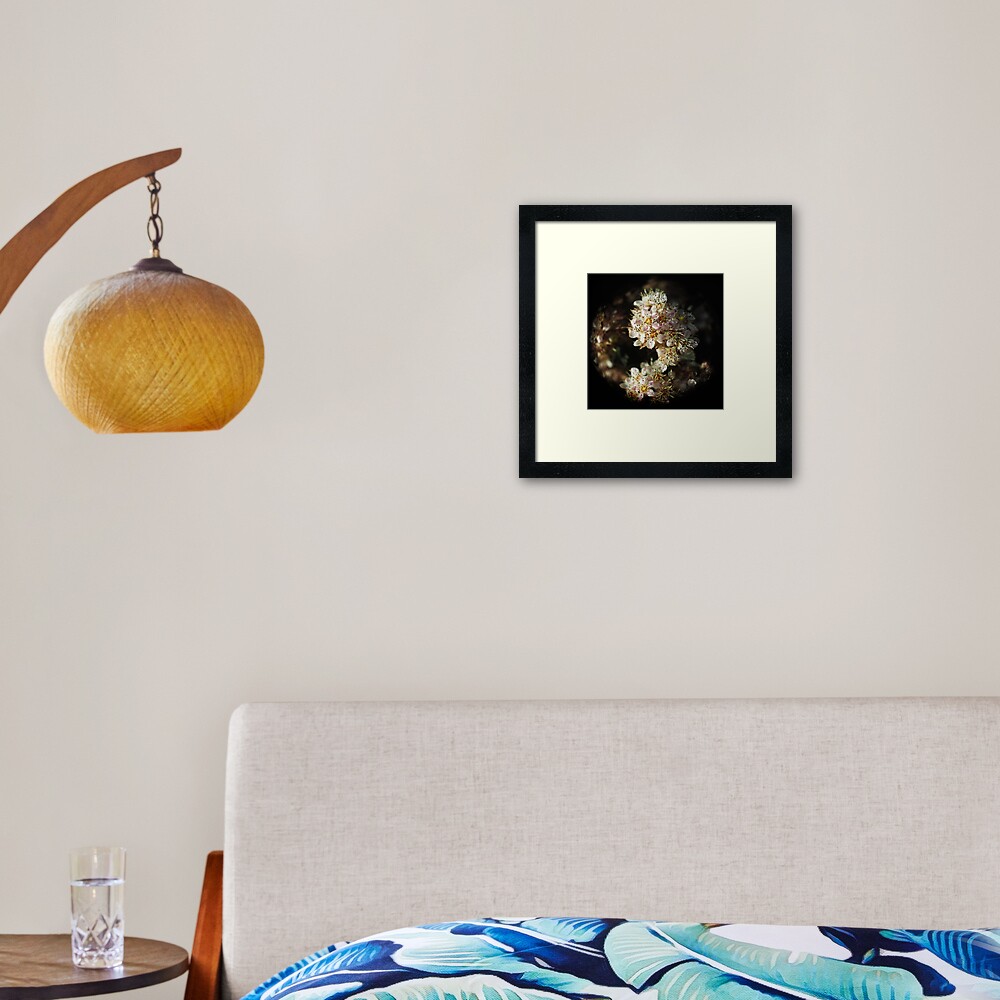 Macro Flower Globe of Pink and White Framed Art Print