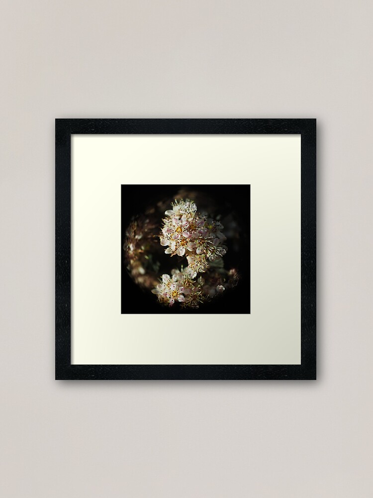 Alternate view of Macro Flower Globe of Pink and White Framed Art Print