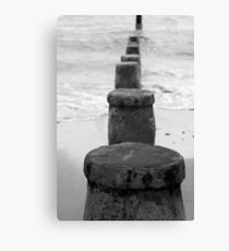 Untitled Canvas Print