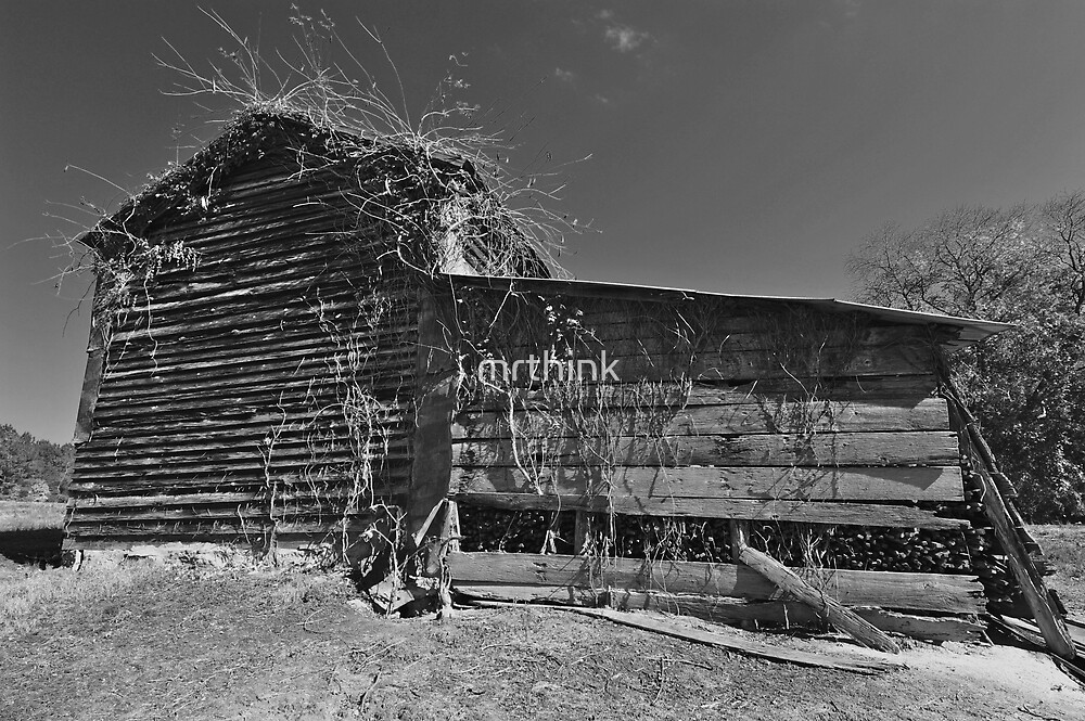 "Old Barn Cotton Farm, North Carolina" by mrthink Redbubble