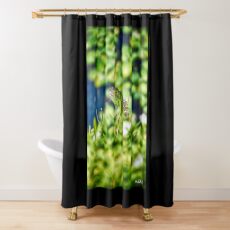 Godzilla Shower Curtains Redbubble