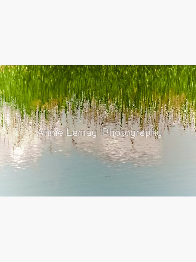 Upside Down or Not? by ajlphotography