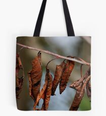 Hung Out To Dry Tote Bag