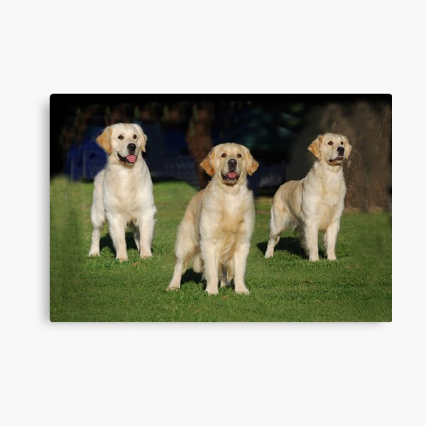 Father, Son & Daughter Canvas Print