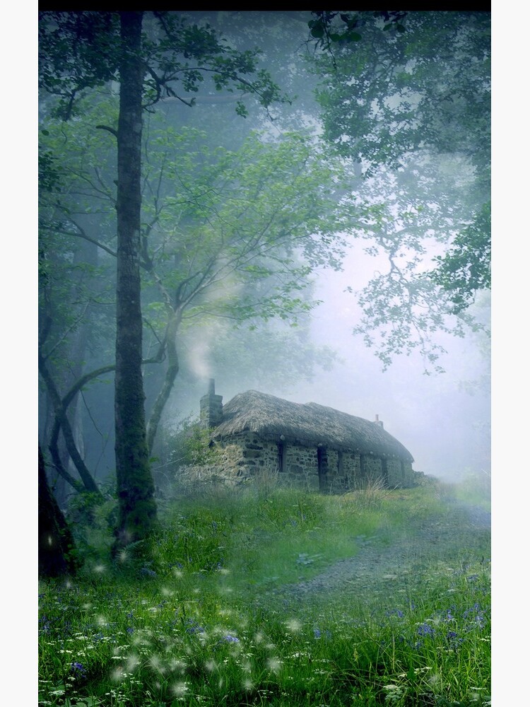 The Cottage in the Woods by AngelaBarnett