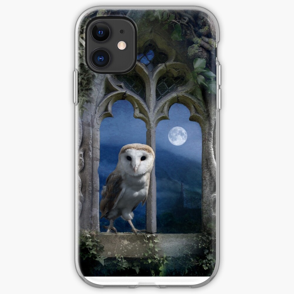 Evening Falls iPhone Case & Cover