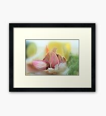 Vegetables Framed Print