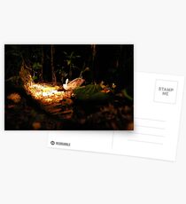 Untitled Postcards