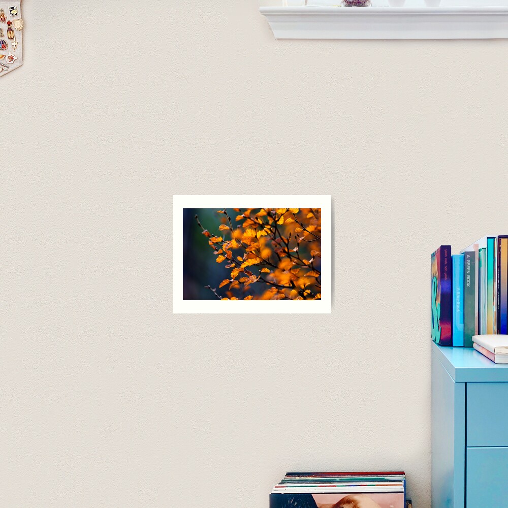 Fagus Detail #1 Art Print
