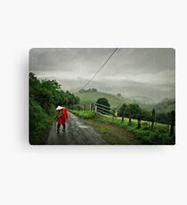 Pilgrim Canvas Print