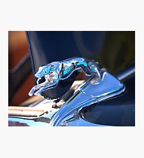 1934 Ford Fordor Greyhound Hood Ornament Photographic Print