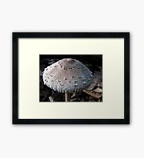 Scaly Cap Framed Print