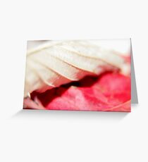 Contrast Greeting Card