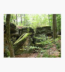 tumble-down world Photographic Print