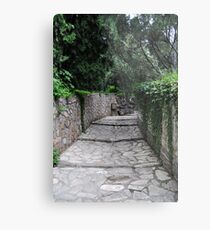 Pathway of the Summer Palace Metal Print