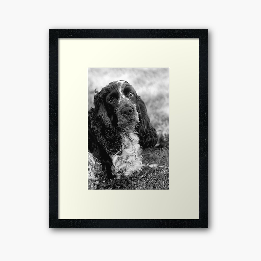 My Boy Framed Art Print