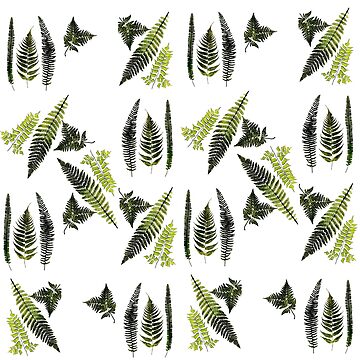 Artwork thumbnail, Fronds of ferns by anni103