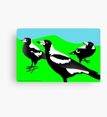 Magpies Canvas Print
