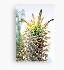 Risky Business (pencil) Canvas Print