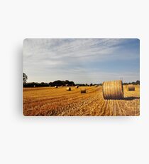 Hay Bales in Donegal Metal Print