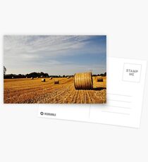 Hay Bales in Donegal Postcards