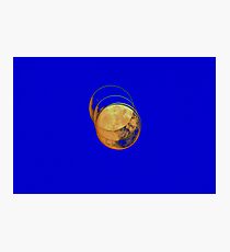 Full Moon Exposures Photographic Print