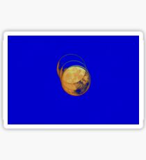 Full Moon Exposures Sticker