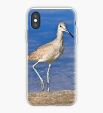 Willet Bird iPhone Case