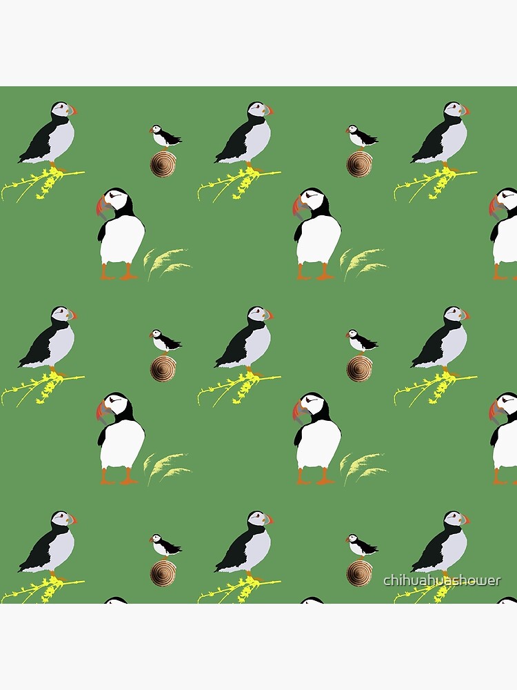 Puffins in green by chihuahuashower
