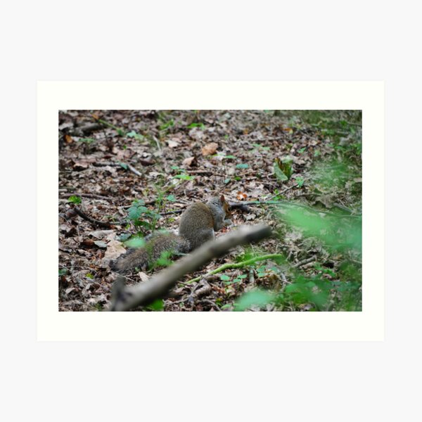 Get off my nuts Art Print