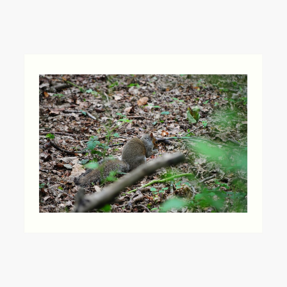 Get off my nuts Art Print