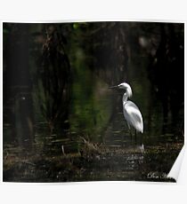 White Bird Poster