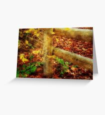 Autumn Hues © Greeting Card