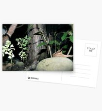 Untitled Postcards