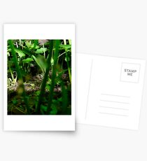 Untitled Postcards