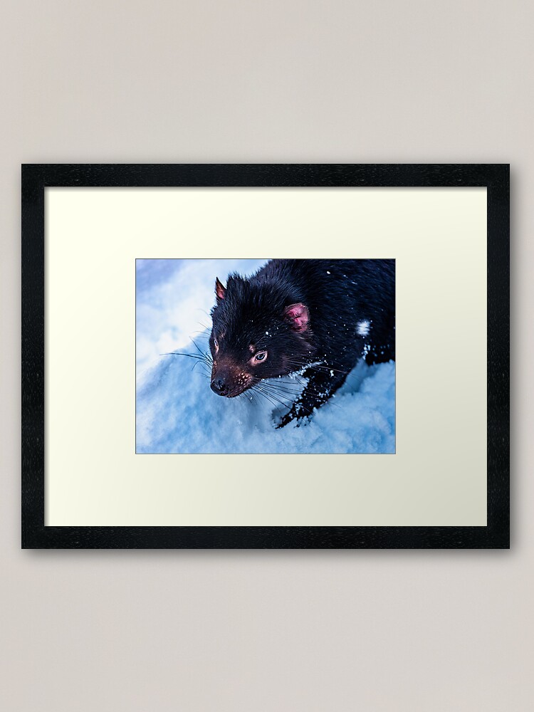 Alternate view of Tasmanian Devil Framed Art Print
