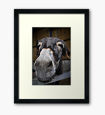 Eeyore Framed Print