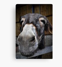 Eeyore Canvas Print