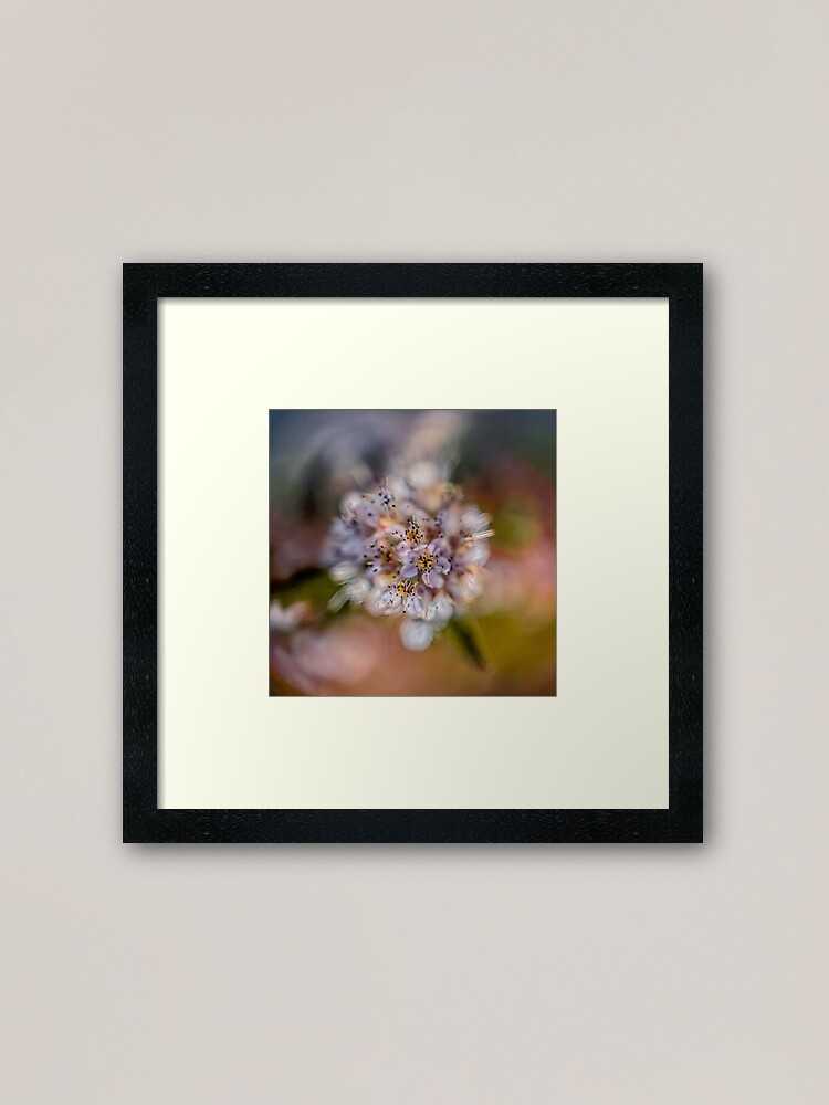 Alternate view of Flower Planet #2 Framed Art Print
