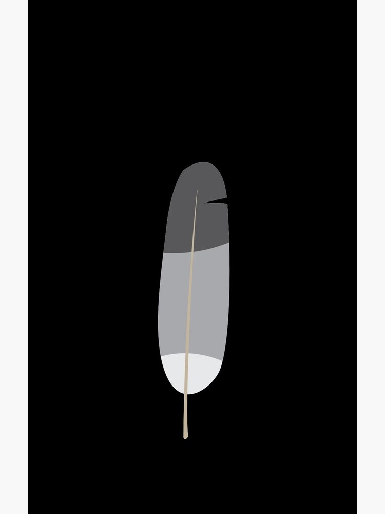Pigeon. Or it's feather. by Modnay