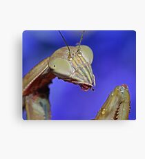 Knee Drops ! Canvas Print